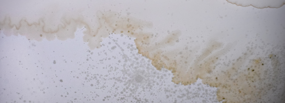 Infiltration d'eau par la toiture